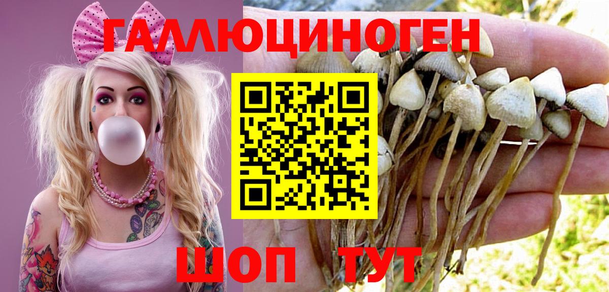 Армавир  Галлюциногенные грибы MAGIC MUSHROOMS  закладки  Вход с VPN 