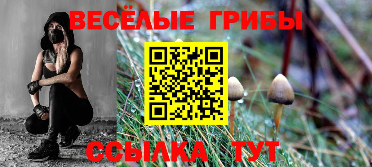 Псилоцибиновые грибы Psilocybine cubensis Армавир